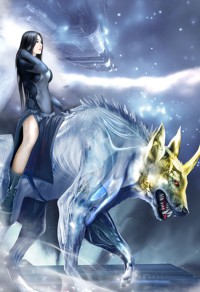 王妃不洞房