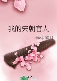 我的宋朝官人
